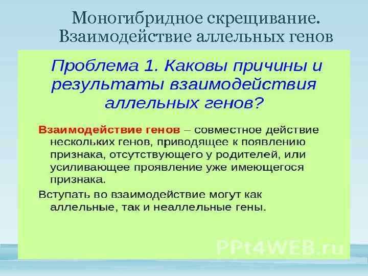 Моногибридное скрещивание. Взаимодействие аллельных генов 