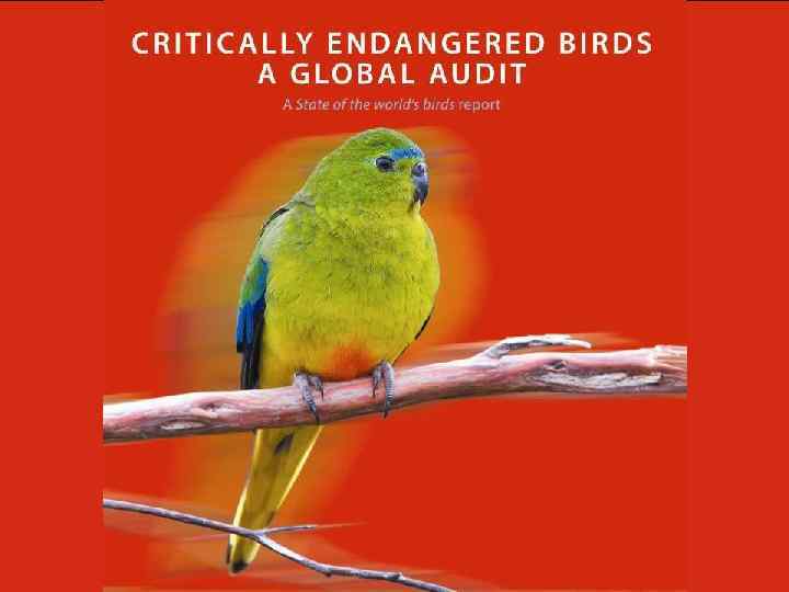 A State of the world’s birds report Critically Endangered birds: a global audit 