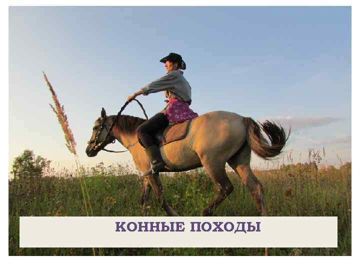 КОННЫЕ ПОХОДЫ 