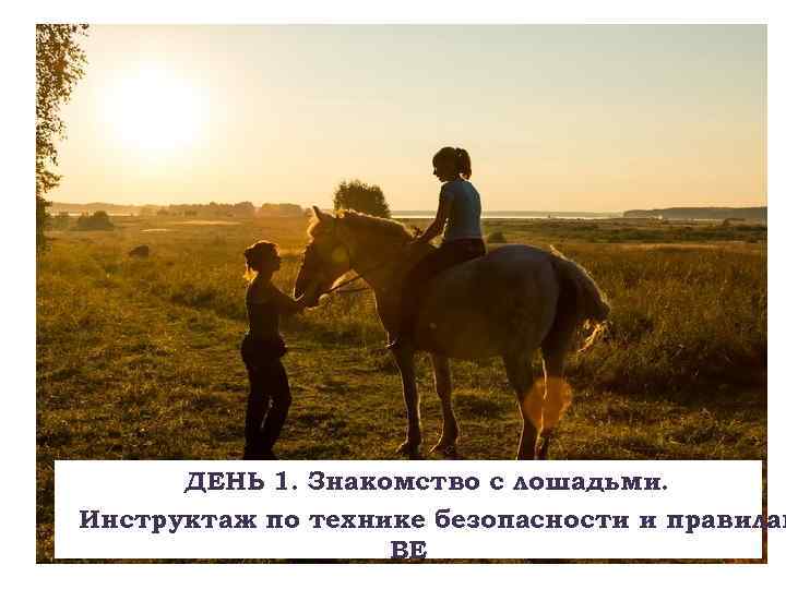 ДЕНЬ 1. Знакомство с лошадьми. Инструктаж по технике безопасности и правилам ВЕ 