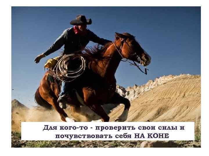 Для кого-то - проверить свои силы и почувствовать себя НА КОНЕ 