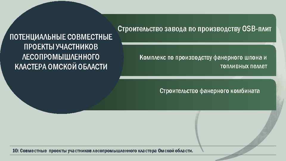ПОТЕНЦИАЛЬНЫЕ СОВМЕСТНЫЕ ПРОЕКТЫ УЧАСТНИКОВ ЛЕСОПРОМЫШЛЕННОГО КЛАСТЕРА ОМСКОЙ ОБЛАСТИ Строительство завода по производству OSB-плит Комплекс