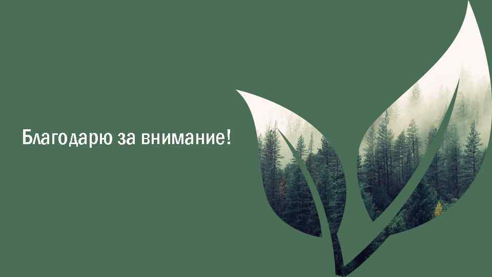 Благодарю за внимание! 