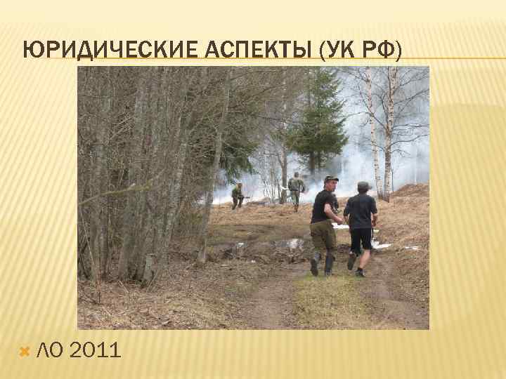 ЮРИДИЧЕСКИЕ АСПЕКТЫ (УК РФ) ЛО 2011 