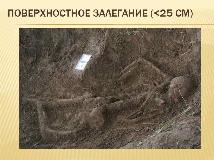 ПОВЕРХНОСТНОЕ ЗАЛЕГАНИЕ (<25 СМ) 