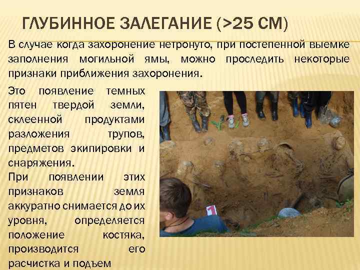 ГЛУБИННОЕ ЗАЛЕГАНИЕ (>25 СМ) В случае когда захоронение нетронуто, при постепенной выемке заполнения могильной