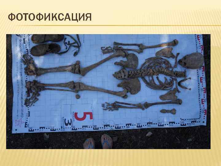 ФОТОФИКСАЦИЯ 