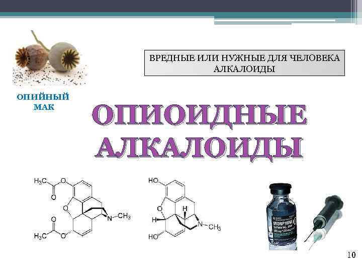 ВРЕДНЫЕ ИЛИ НУЖНЫЕ ДЛЯ ЧЕЛОВЕКА АЛКАЛОИДЫ ОПИЙНЫЙ МАК ОПИОИДНЫЕ АЛКАЛОИДЫ 10 