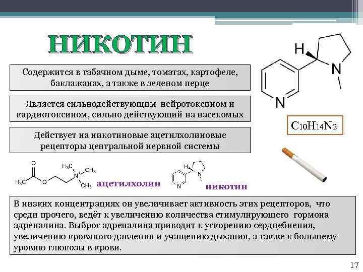 НИКОТИН Содержится в табачном дыме, томатах, картофеле, баклажанах, а также в зеленом перце Является