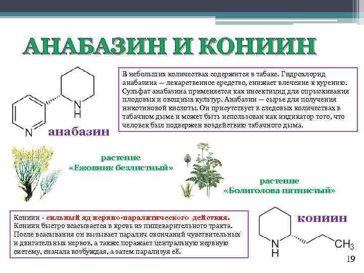 В небольших количествах содержатся