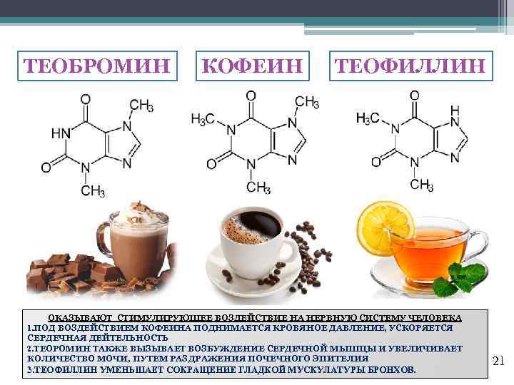ТЕОБРОМИН КОФЕИН ТЕОФИЛЛИН ОКАЗЫВАЮТ СТИМУЛИРУЮЩЕЕ ВОЗДЕЙСТВИЕ НА НЕРВНУЮ СИСТЕМУ ЧЕЛОВЕКА 1. ПОД ВОЗДЕЙСТВИЕМ КОФЕИНА