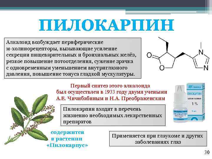 ПИЛОКАРПИН Алкалоид возбуждает периферические м-холинорецепторы, вызывающие усиление секреции пищеварительных и бронхиальных желёз, резкое повышение