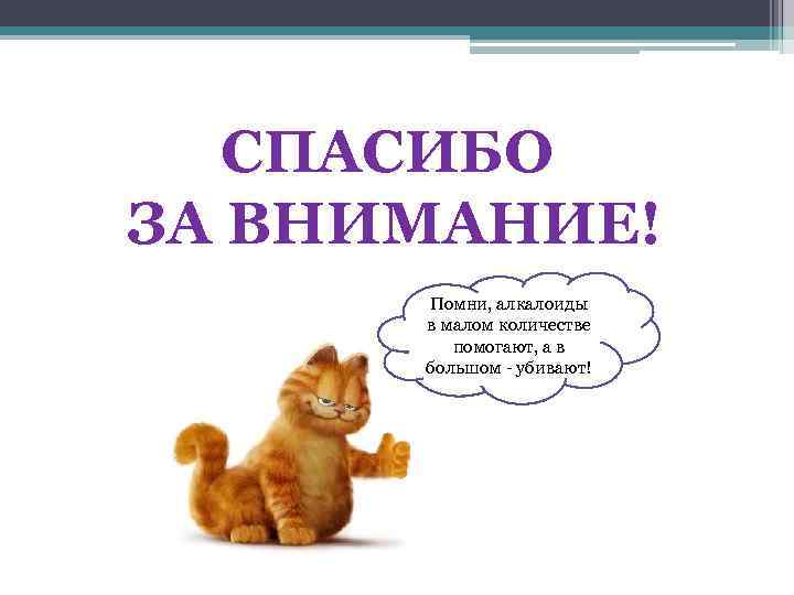 СПАСИБО ЗА ВНИМАНИЕ! Помни, алкалоиды в малом количестве помогают, а в большом - убивают!