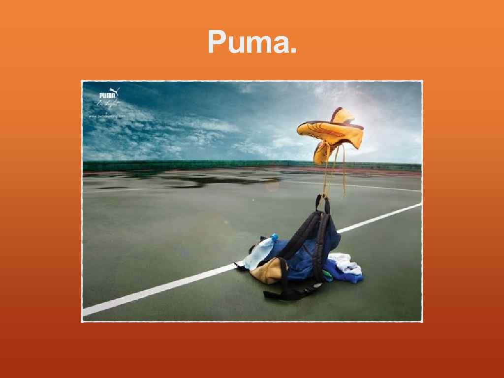Puma. 