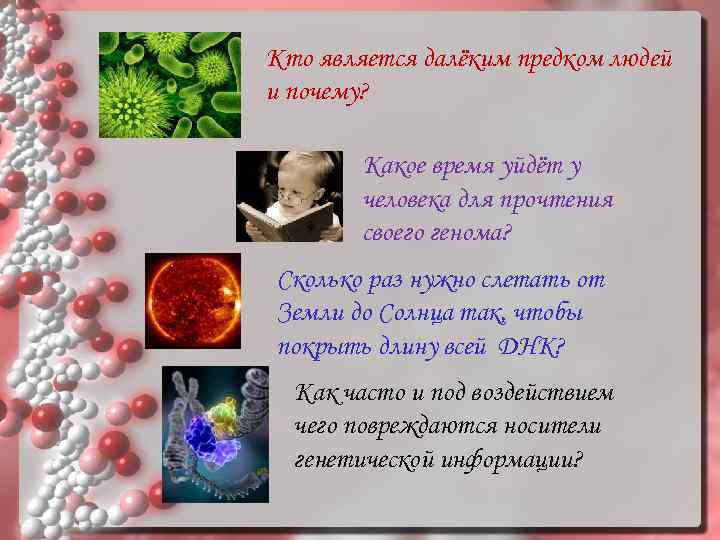 Кто является далёким предком людей и почему? Какое время уйдёт у человека для прочтения