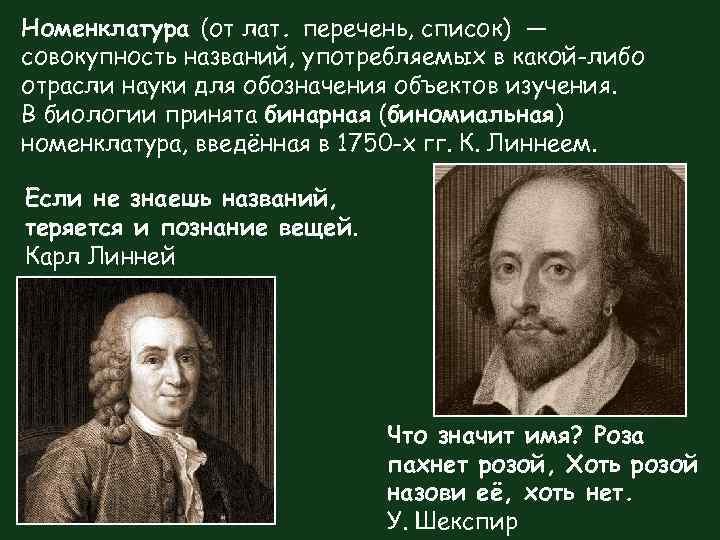 Номенклатура (от лат. перечень, список) — совокупность названий, употребляемых в какой-либо отрасли науки для
