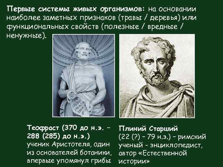 Первые системы живых организмов: на основании наиболее заметных признаков (травы / деревья) или функциональных