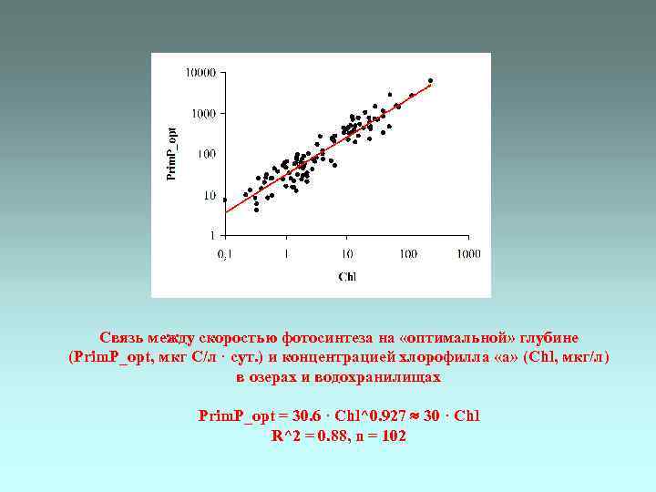Связь между скоростью фотосинтеза на «оптимальной» глубине (Prim. P_opt, мкг С/л · сут. )