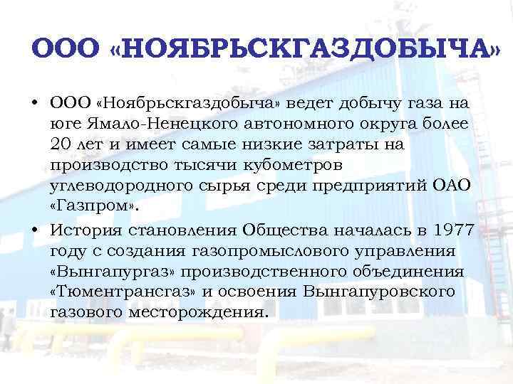 ООО «НОЯБРЬСКГАЗДОБЫЧА» • ООО «Ноябрьскгаздобыча» ведет добычу газа на юге Ямало-Ненецкого автономного округа более