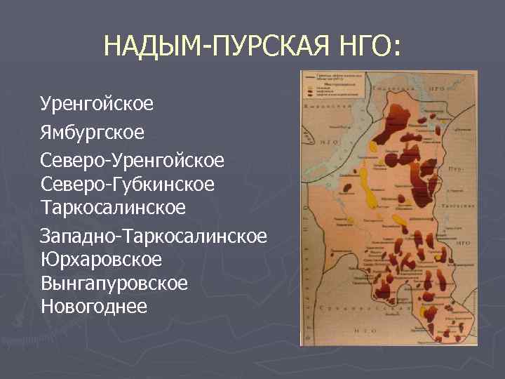 НАДЫМ-ПУРСКАЯ НГО: Уренгойское Ямбургское Северо-Уренгойское Северо-Губкинское Таркосалинское Западно-Таркосалинское Юрхаровское Вынгапуровское Новогоднее 