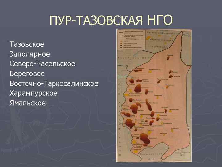 ПУР-ТАЗОВСКАЯ НГО Тазовское Заполярное Северо-Часельское Береговое Восточно-Таркосалинское Харампурское Ямальское 