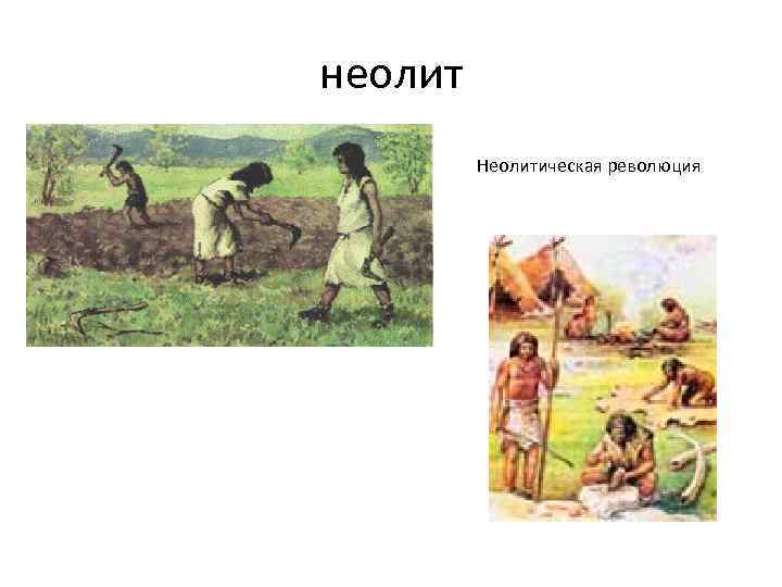 неолит Неолитическая революция 
