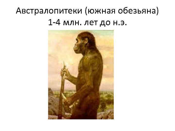 Австралопитеки (южная обезьяна) 1 -4 млн. лет до н. э. 
