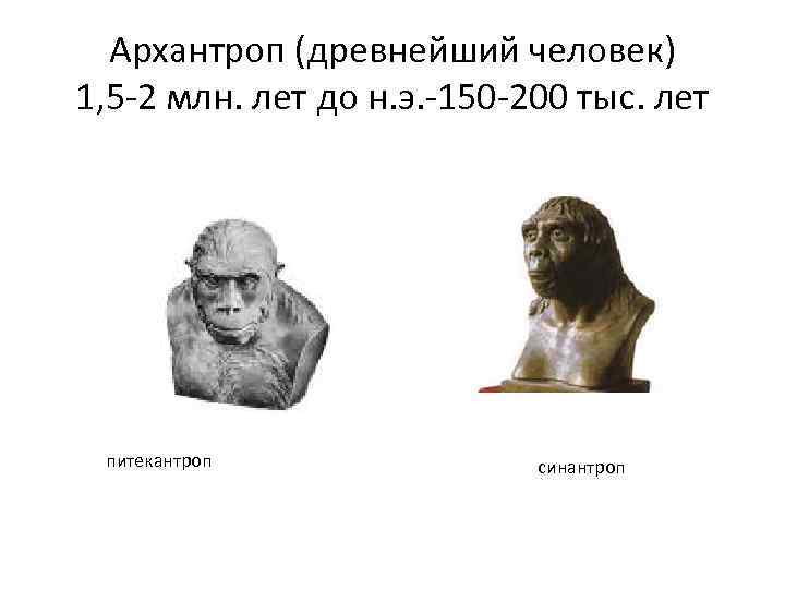 Архантроп (древнейший человек) 1, 5 -2 млн. лет до н. э. -150 -200 тыс.