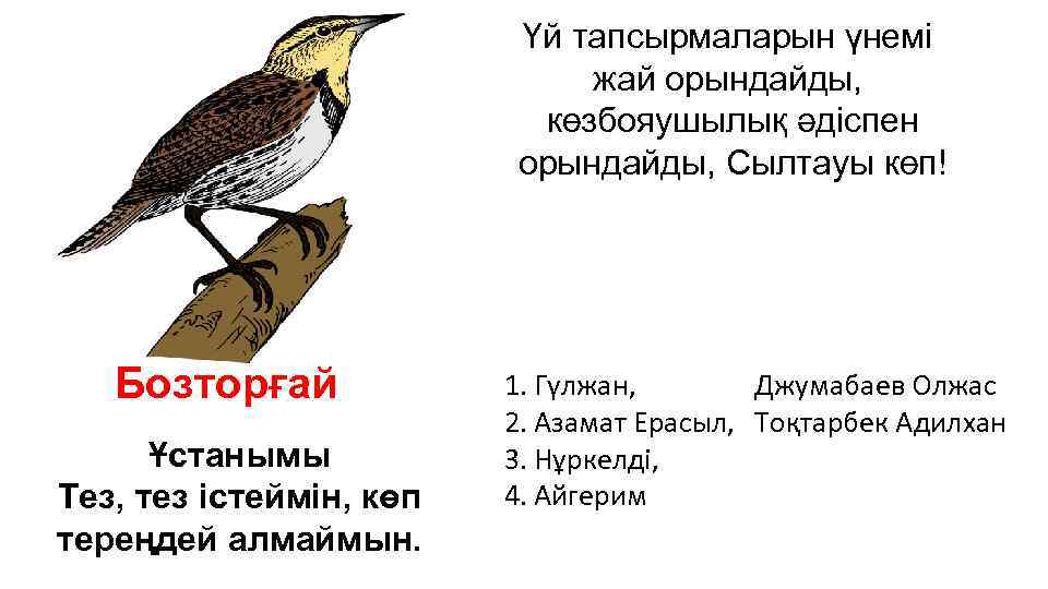 Үй тапсырмаларын үнемі жай орындайды, көзбояушылық әдіспен орындайды, Сылтауы көп! Бозторғай Ұстанымы Тез, тез