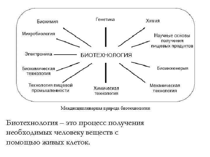 Биотехнология – это процесс получения необходимых человеку веществ с помощью живых клеток. 