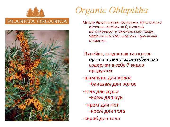 Organic Oblepikha Масло Арктической облепихи- богатейший источник витамина С, активно регенирирует и омолаживает кожу,