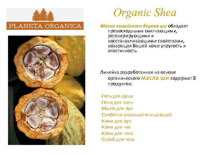 Organic Shea Масло кенийского дерева ши обладает превосходными смягчающими, регенерирующими и восстанавливающими свойствами, возвращая