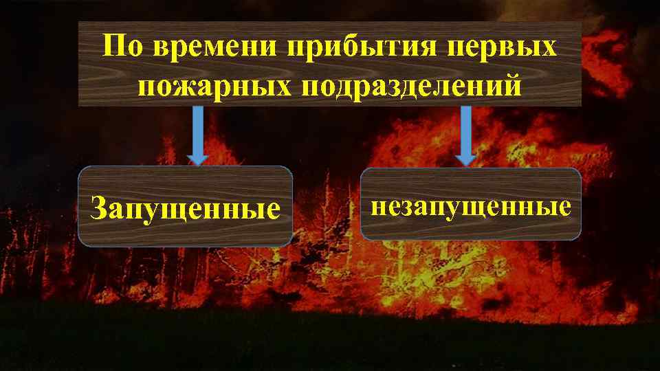 По времени прибытия первых пожарных подразделений Запущенные незапущенные 