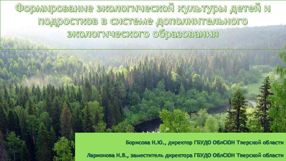 Формирование экологической культуры детей и подростков в системе дополнительного экологического образования Борисова Н. Ю.