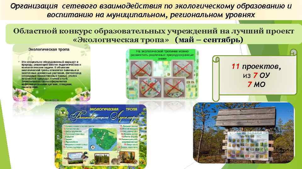 Организация сетевого взаимодействия по экологическому образованию и воспитанию на муниципальном, региональном уровнях Областной конкурс
