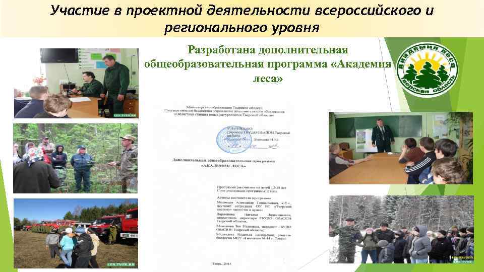 Участие в проектной деятельности всероссийского и регионального уровня Разработана дополнительная общеобразовательная программа «Академия леса»
