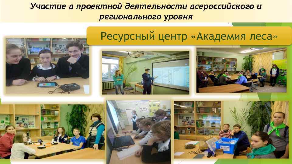 Участие в проектной деятельности всероссийского и регионального уровня Ресурсный центр «Академия леса» 