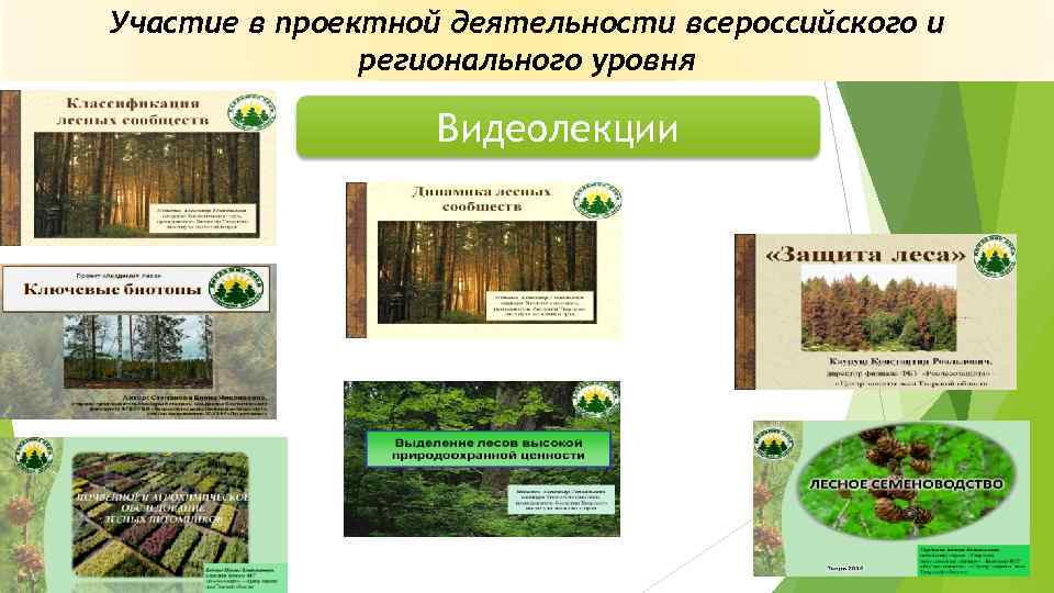 Участие в проектной деятельности всероссийского и регионального уровня Видеолекции 