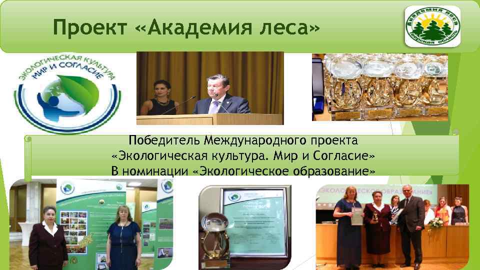 Проект «Академия леса» Победитель Международного проекта «Экологическая культура. Мир и Согласие» В номинации «Экологическое