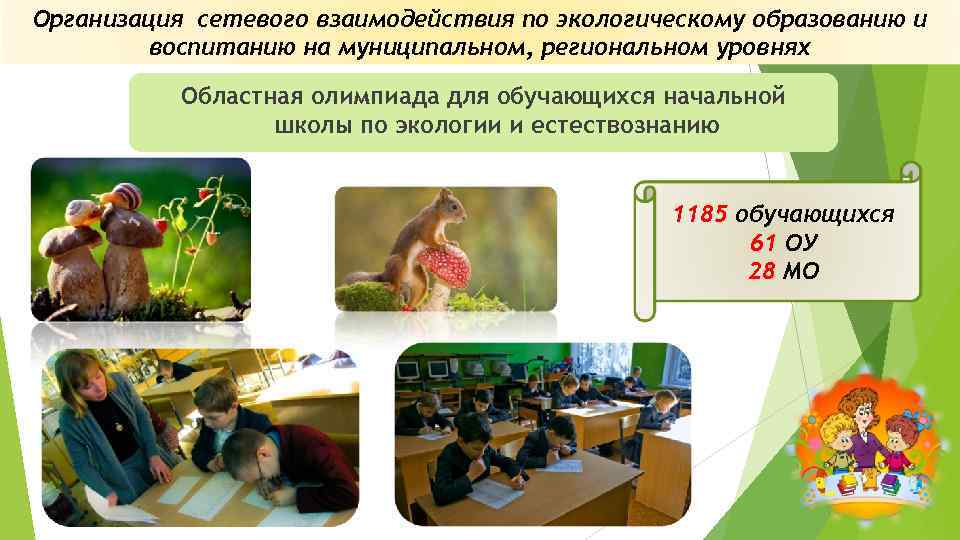 Организация сетевого взаимодействия по экологическому образованию и воспитанию на муниципальном, региональном уровнях Областная олимпиада