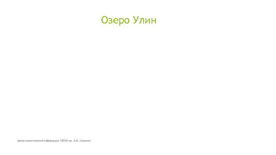 Озеро Улин Центр экологической информации ТОУНБ им. А. М. Горького 