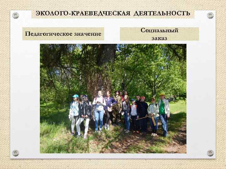 ЭКОЛОГО-КРАЕВЕДЧЕСКАЯ ДЕЯТЕЛЬНОСТЬ Педагогическое значение Социальный заказ 