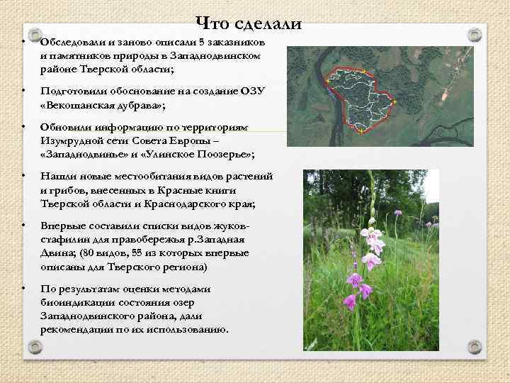 Что сделали • Обследовали и заново описали 5 заказников и памятников природы в Западнодвинском