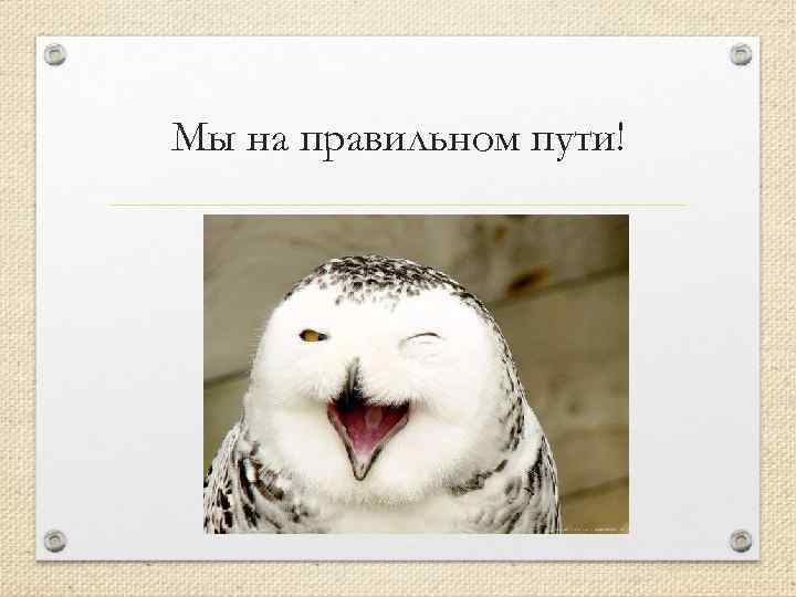 Мы на правильном пути! 