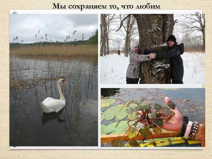 Мы сохраняем то, что любим 