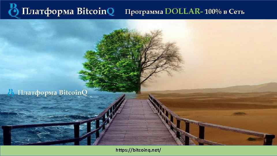 Платформа Bitcoin. Q Программа DOLLAR- 100% в Сеть Платформа Bitcoin. Q https: //bitcoinq. net/