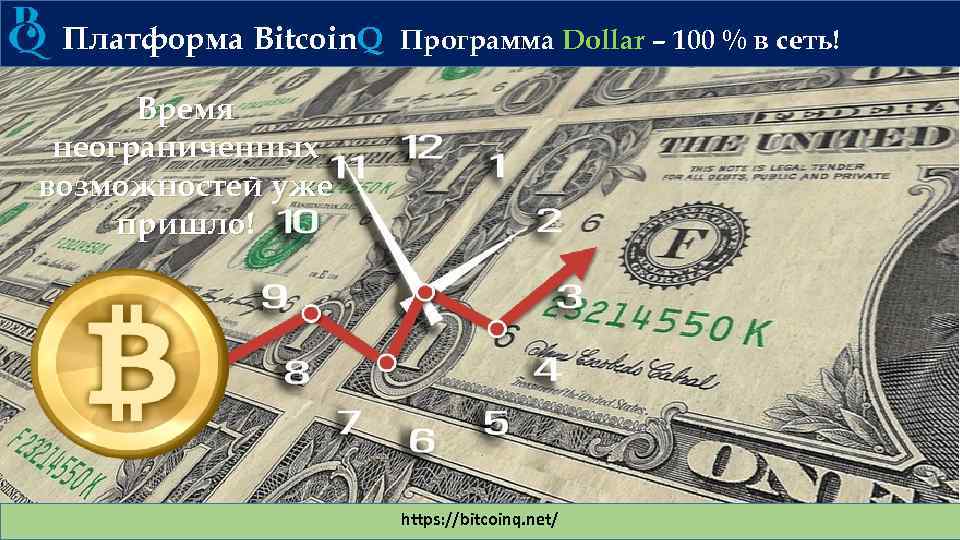Платформа Bitcoin. Q Программа Dollar – 100 % в сеть! Время неограниченных возможностей уже