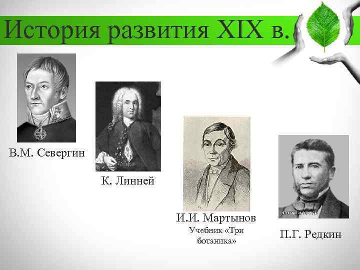 История развития XIX в. В. М. Севергин К. Линней И. И. Мартынов Учебник «Три