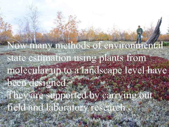 Now many methods of environmental state estimation using plants from molecular up to a