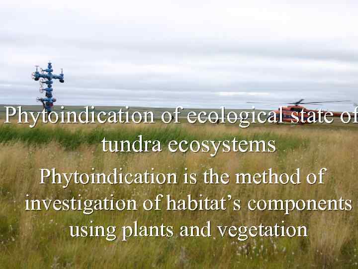 Phytoindication of ecological state of tundra ecosystems Phytoindication is the method of investigation of